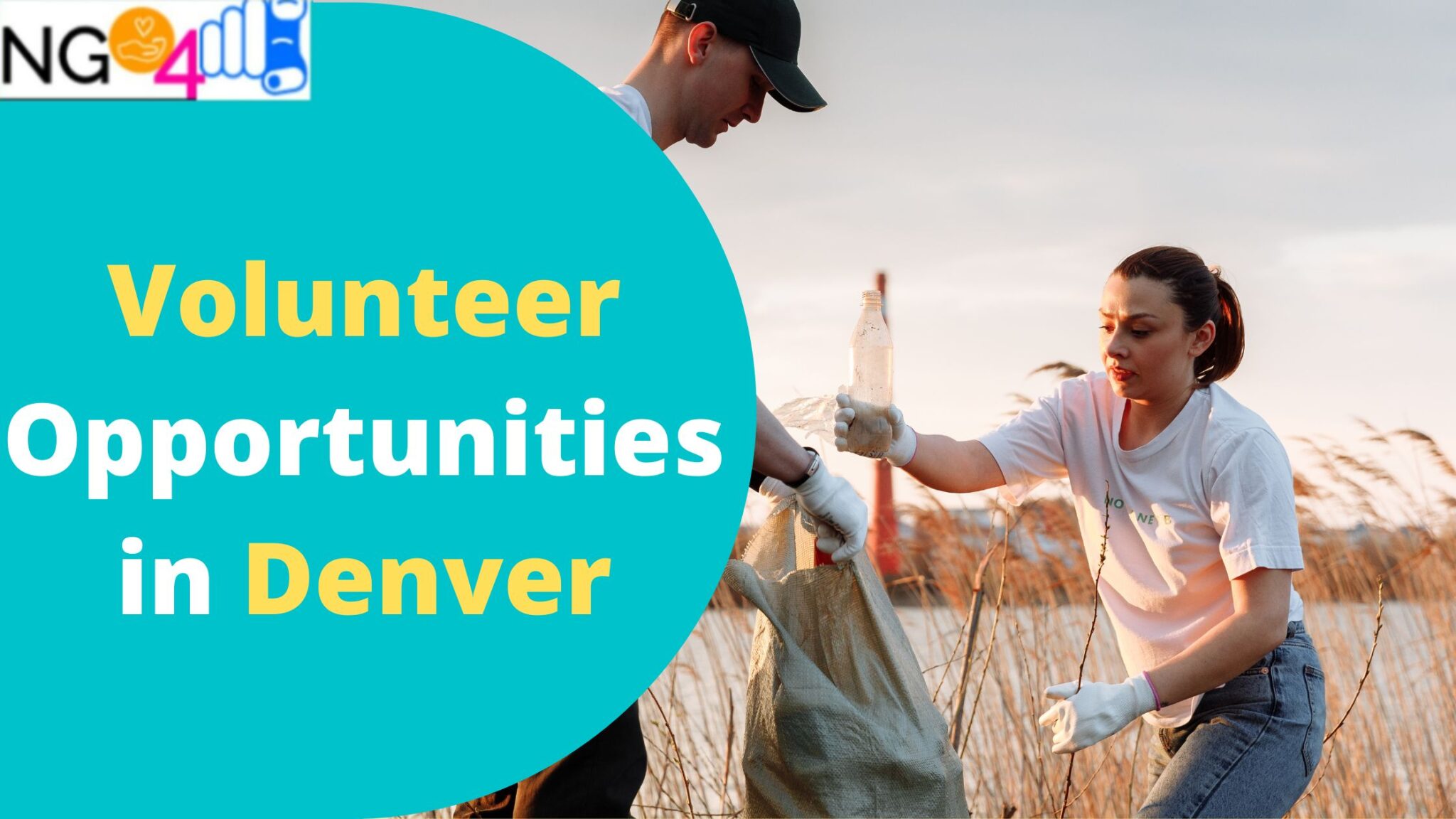 Best Volunteer Opportunities In Denver, CO Food Bank, Environment