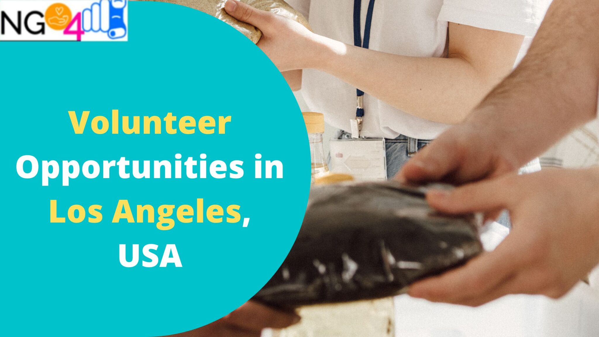 Find Volunteer Opportunities In Los Angeles, USA- Food Banks