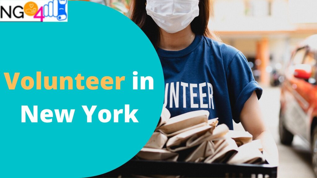 Volunteer Opportunities In New York With Food Banks Non Profit   Volunteer In New York Min 1024x576 