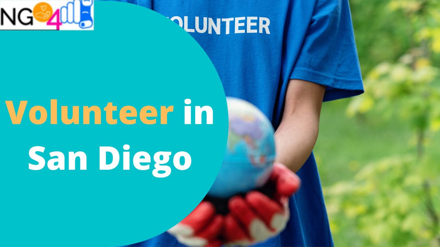 find-volunteer-opportunities-in-san-diego-ngos-food-banks